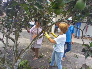 Emater realiza oficina com práticas agroecológicas para o controle da mosca negra dos citros