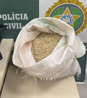 Homem é preso no Rio por tingir de verde feijão fradinho para vender como feijão de corda