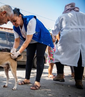 Prefeitura de Maceió vacina mais de 90 mil animais durante campanha antirrábica