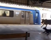 Bezerro invade estação de Japeri e assusta passageiros