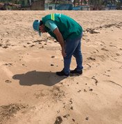 Manchas de óleo aparecem nas praias de Japaratinga