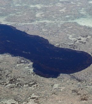 Manchas de óleo aparecem no Delta do Parnaíba, litoral do Piauí