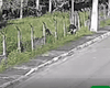 Polícia procura envolvidos na morte de homem na porta do trabalho em Marechal