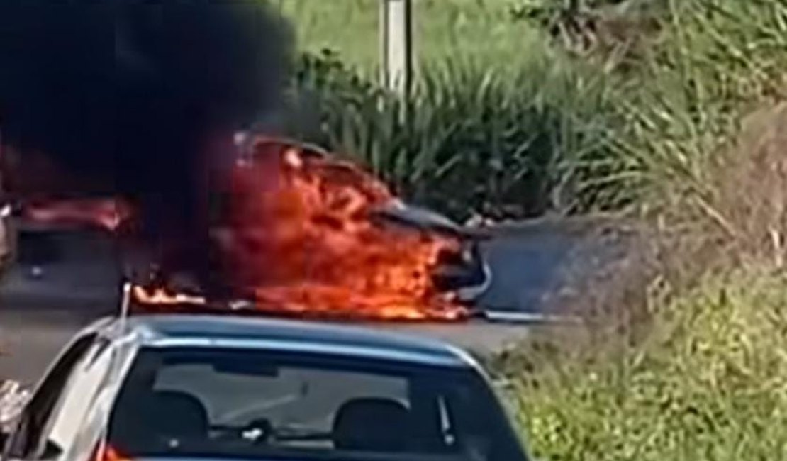 Carro pega fogo após acidente em rodovia de Porto Calvo