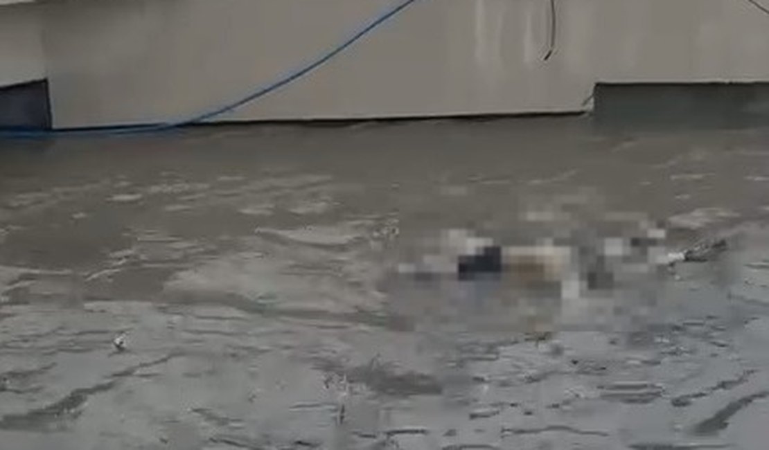 Corpo é arrastado pelo Riacho Salgadinho após fortes chuvas em Maceió