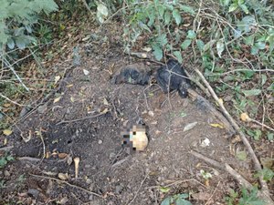Ossada humana é encontrada com roupas durante perícia em Coruripe