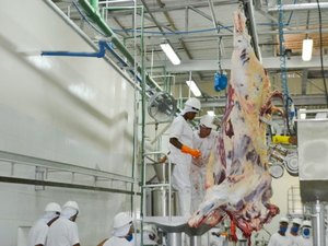 FrigoVale realiza abate teste em Arapiraca