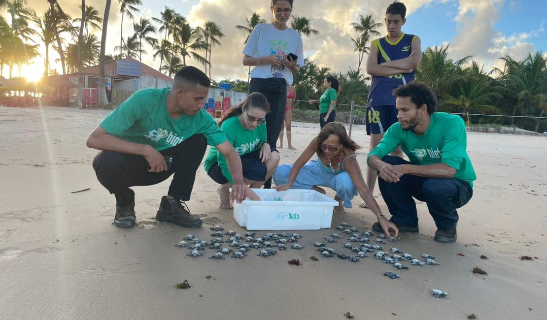 Primeira soltura de tartarugas marinhas da temporada acontece em Maceió