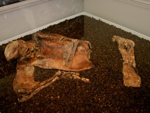 Homem confessa assassinato, mas corpo achado tinha 1.600 anos de idade