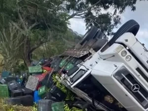 Caminhão tomba e espalha carga de bananas na rodovia AL-220, em São José da Tapera