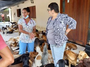 OAB Alagoas já recebeu 45 denúncias de maus-tratos a animais em 2025