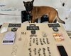 Com auxílio de cão farejador, PM prende homem em ponto de drogas em Arapiraca