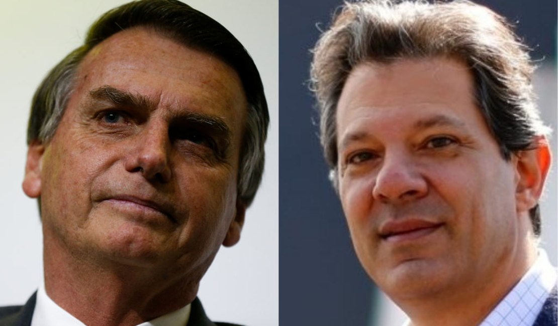 O que Bolsonaro e Haddad dizem sobre intolerância política e violência