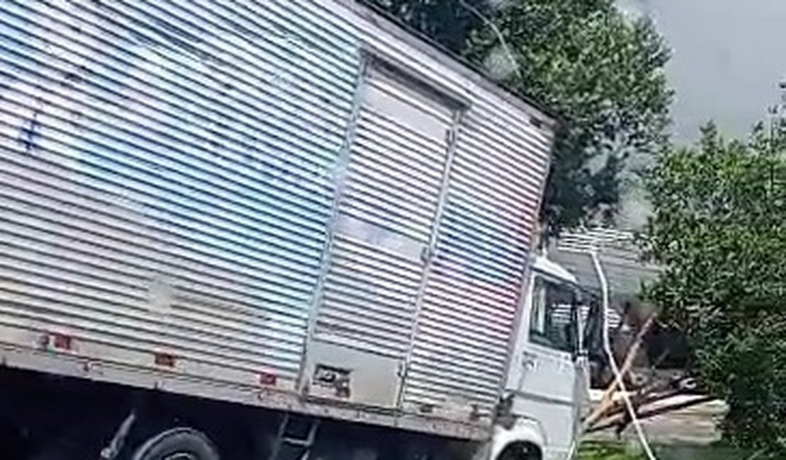 Caminhão perde controle, invade canteiro e derruba árvore na Av. Durval de Góes Monteiro