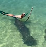 Vídeo de peixe-boi que 'cutuca' influencer na Praia de Lages viraliza na internet