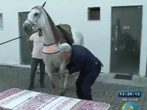 Apresentador coloca égua em cima de cama na TV