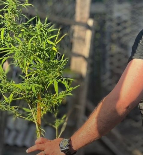 Operação Alta Paz prende quatro suspeitos ligados ao tráfico de drogas em Penedo