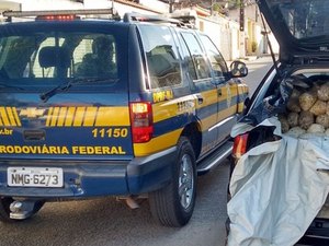 Meia tonelada de mariscos é apreendida pela PRF