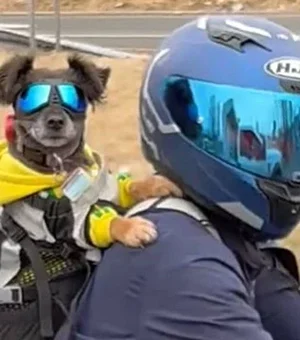 Tutor leva cachorro na moto com óculos de proteção e encanta web