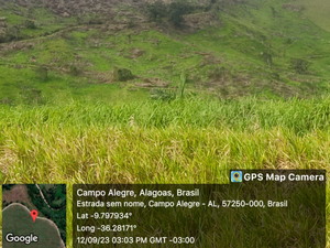 Usina é acusada de invasão de terras públicas e de cometer crime ambiental em Campo Alegre