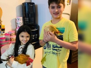 Família que adotou galo e galinha para criança autista é intimada a se desfazer dos animais