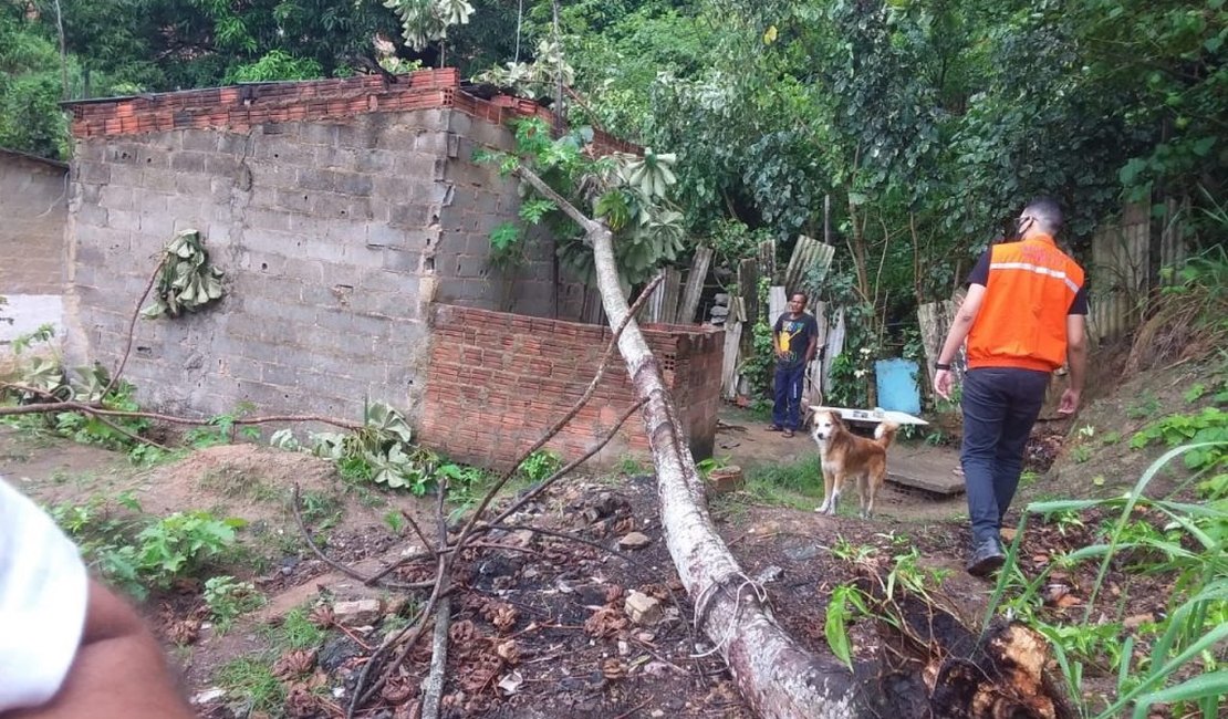 Defesa Civil de Maceió condena imóvel atingido por queda de árvore