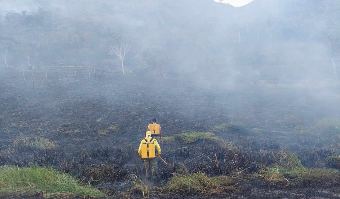 Incêndio atinge Reserva Ecológica em Murici