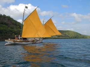 Canoa Luzitânia: IPHAN tem 90 dias para instalar a embarcação em Penedo