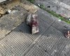 Motorista é espancado e tem carro destruído após atropelamento em Maceió