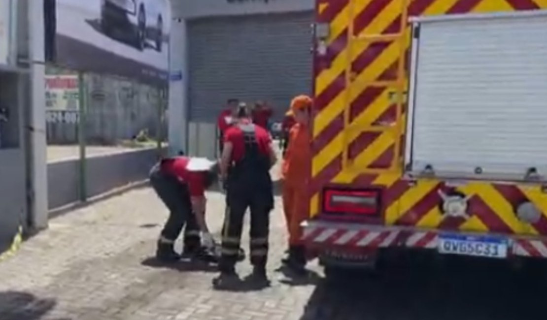 Carro elétrico pega fogo durante carregamento em  concessionária na Avenida Fernandes Lima