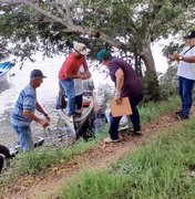 Combate à brucelose pela Prefeitura de Penedo atende agricultores de baixa renda na Ilha São Pedro