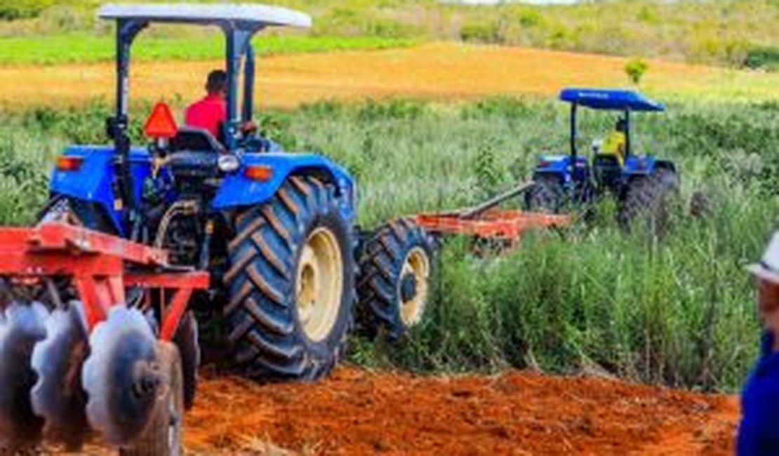 Terra pronta avança para 7 mil tarefas e já beneficia mais de 900 agricultores familiares em Arapiraca