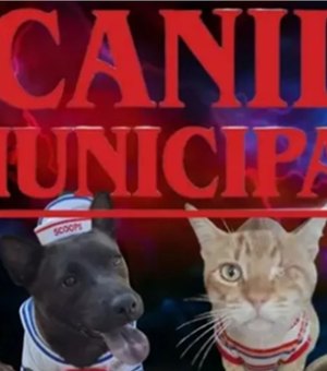 Canil aposta em Stranger Things para nomear animais e promover adoção