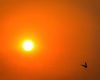Novo veranico chega ao Nordeste com calor de até 42°C no interior