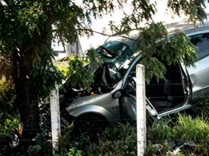 Motorista morre após perder controle de veículo e colidir contra árvore na AL-130, em Pão de Açúcar