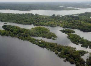 Preservação da Amazônia é prioridade do governo eleito na COP27