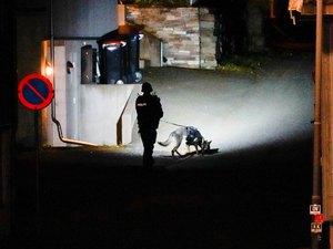 Homem mata várias pessoas na Noruega em ataque com arco e flecha