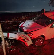 Cavalo solto na pista causa grave acidente na AL-115, em Arapiraca