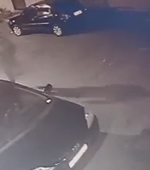 [Vídeo] Suspeito de homicídio ocorrido durante Carnaval em Lagoa da Canoa é capturado