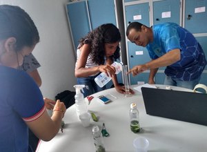 Alunos do Sertão criam repelente natural e projeto é selecionado para exposição em PE