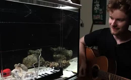 Jovem compra polvo vivo em mercado e ensina animal a tocar piano