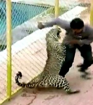 Leopardo invade escola e deixa seis feridos na Índia