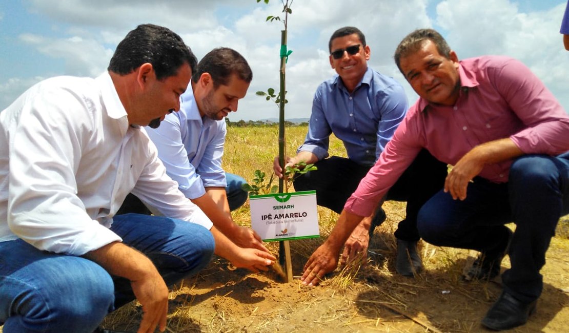Limoeiro de Anadia ganhará maior complexo de pesquisa agroflorestal sintrópica da região