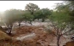 Chuvas no Sertão de Alagoas mudam cenário da seca e animam sertanejos