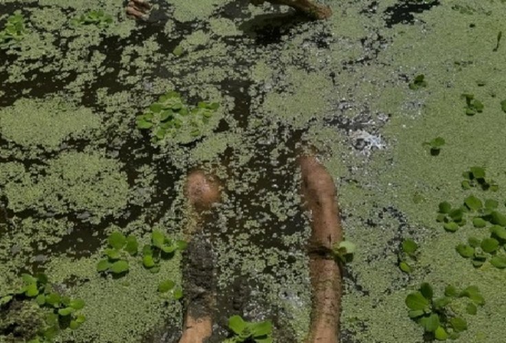 Amigos matam trabalhador com cerca de 30 golpes de faca e facão em Canapi