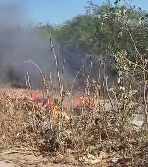 [Vídeo] Fumaça e fogo em vegetação chamam a atenção de moradores em Arapiraca