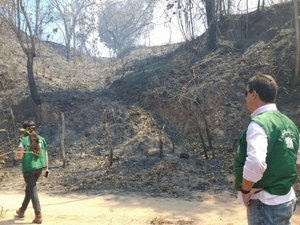 IMA vistoria nova área incendiada pela Granbio
