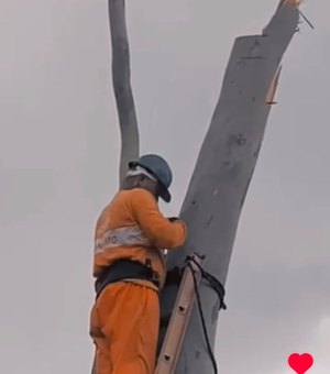 Pés de Eucalipto são retirados após apelo de comunidade indigena que temia risco com fiação elétrica