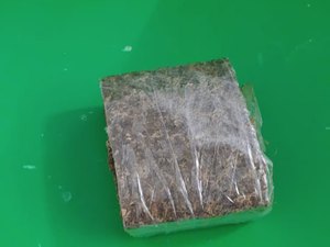 Jovem é presa acusada de tráfico de drogas em Japaratinga