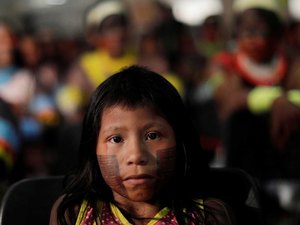 Um milhão de indígenas brasileiros buscam alternativas para sobreviver